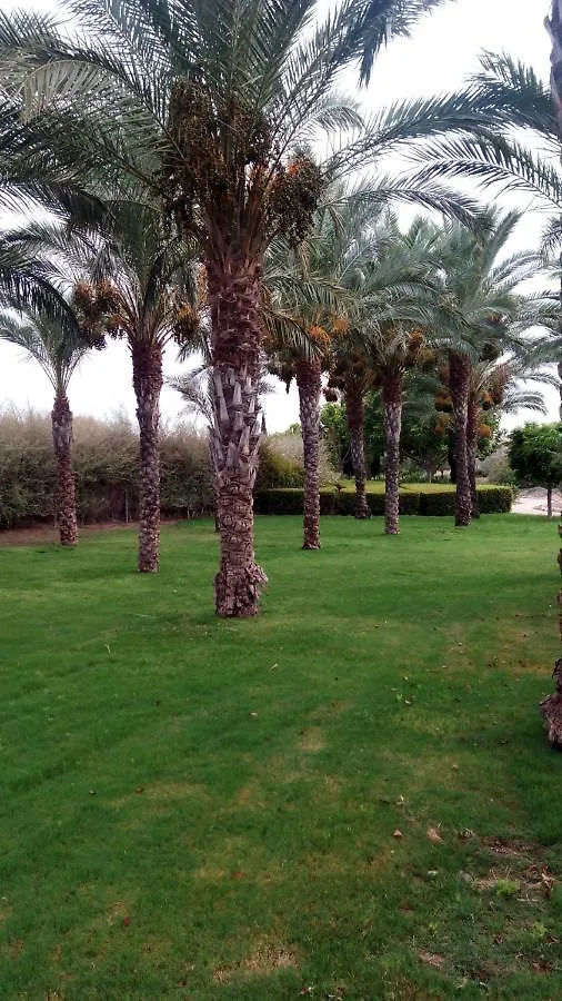 Appartamento Vera Playa Apartamento 1Dormitorio