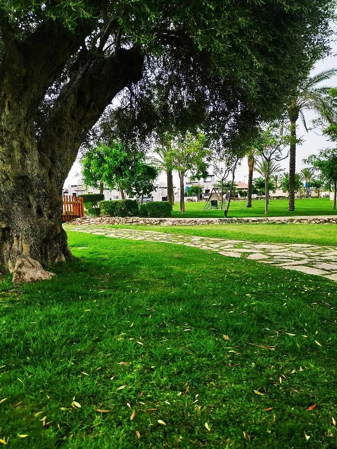 Appartamento Vera Playa Apartamento 1Dormitorio